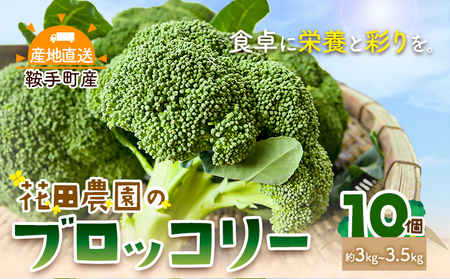 ブロッコリー 花田農園 の ブロッコリー 10個 花田農園 《11月下旬-3月末頃出荷》福岡県 鞍手町 ぶろっこりー 野菜 ブロッコリー 産地直送 