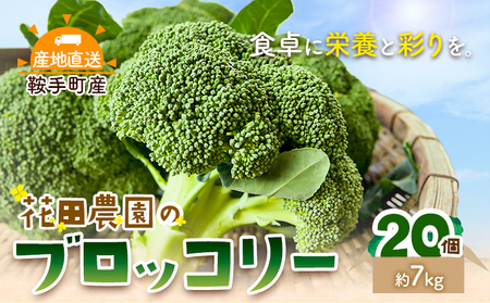 ブロッコリー 花田農園 の ブロッコリー 20個 花田農園 《11月下旬-3月末頃出荷》福岡県 鞍手町 ぶろっこりー 野菜 ブロッコリー 産地直送