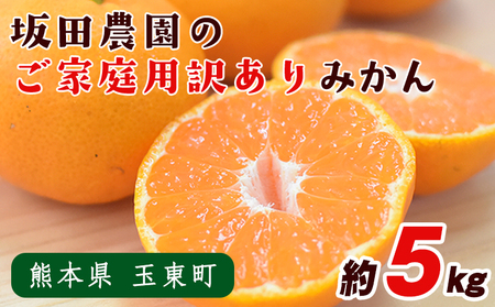 みかん ご家庭用  約 5kg 坂田農園 みかん