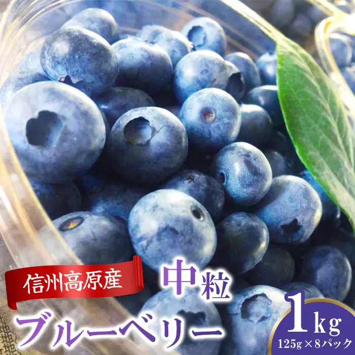 信州産 フレッシュブルーベリー(中粒) 1kg 3103