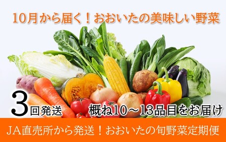 10月からお届け!おおいたの旬野菜定期便/計3回発送_2396R