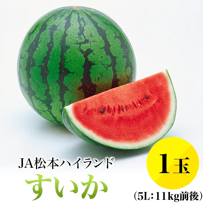 1813【5L】JA松本ハイランドすいか1玉 （約11kg）【2026年7月中旬～8月上旬発送】