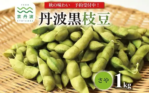 【先行予約】丹波黒枝豆 1kg(500gx2袋) 黒枝豆