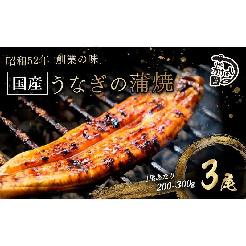 昭和52年創業の味 手焼き 国産 うなぎ 蒲焼き 3尾 1尾あたり 200～300g 国産 鰻 美味しい 職人仕上げ ふっくら肉厚 タレ付き 冷凍発送 ギフト 贈答用 お取り寄せ グルメ ご飯のお供 九州 福岡 老舗の味