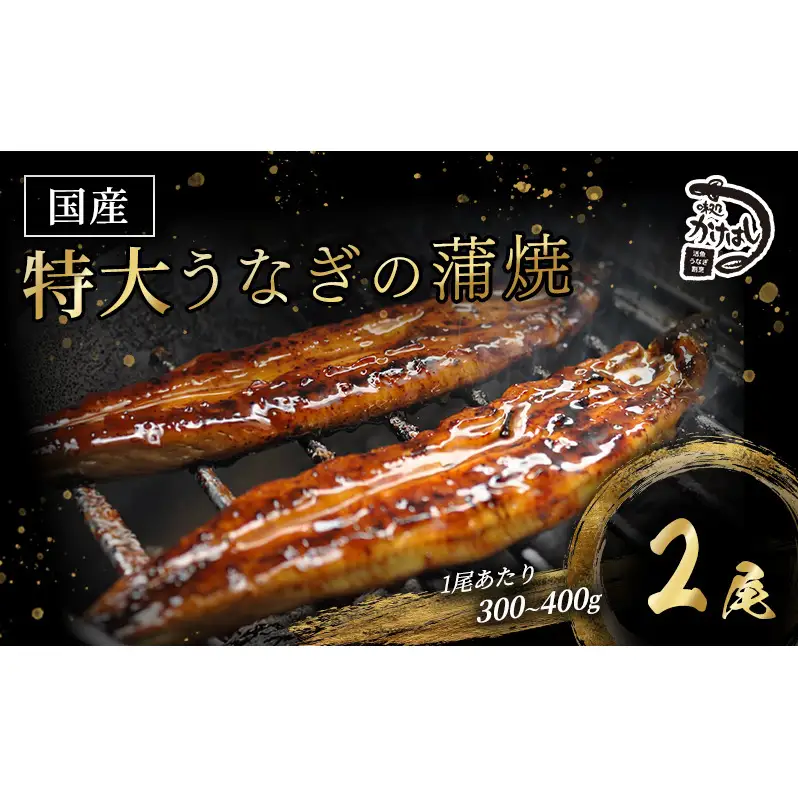 心に染みる かけはし 特大 国産 うなぎ 蒲焼き 2尾 1尾あたり300～400g 国産 鰻 美味しい 備長炭焼き ふっくら肉厚 タレ付き 贅沢 ボリューム満点 ご褒美 グルメ お取り寄せ 福岡 老舗