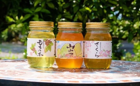 はちみつ 国産 天然 純はちみつ 600g×3本セット さくら＆もちのき＆やまみつ ハチミツ 蜂蜜 