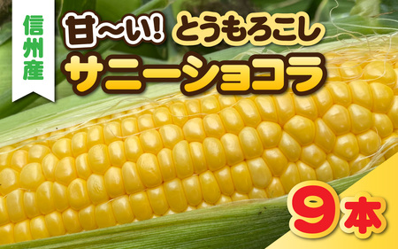 サニーショコラ　9本セット | とうもろこし