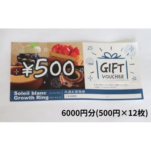 店舗利用券6000円分 2025/9/19～