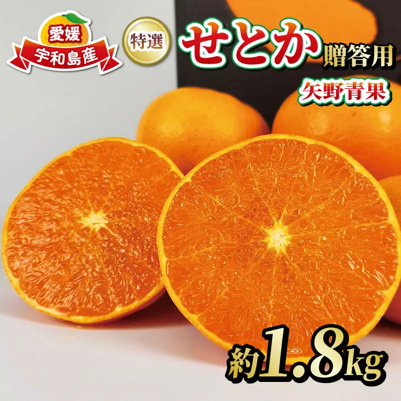 【特選】せとか1.8kg矢野青果せとかB015-171035