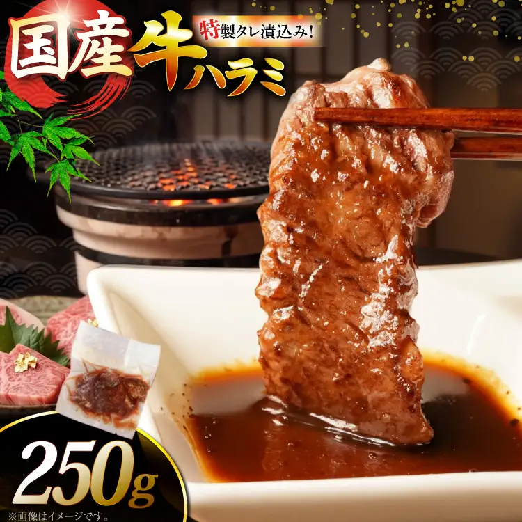 ハラミ 牛肉 焼肉 国産 特製 たれ漬 サガリ 250g ハラミ