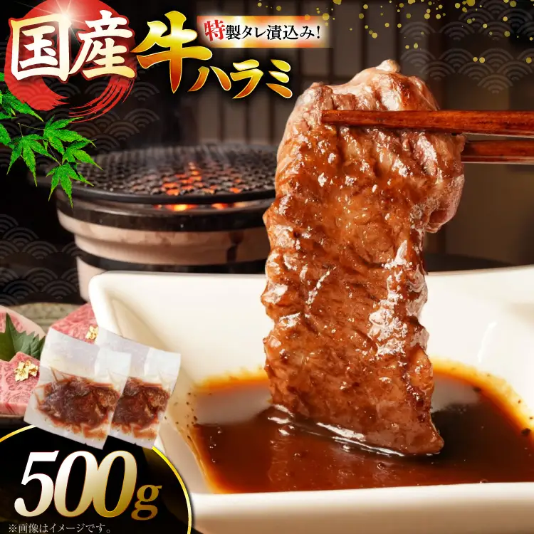 ハラミ 牛肉 焼肉 国産 特製 たれ漬 サガリ 500g ハラミ