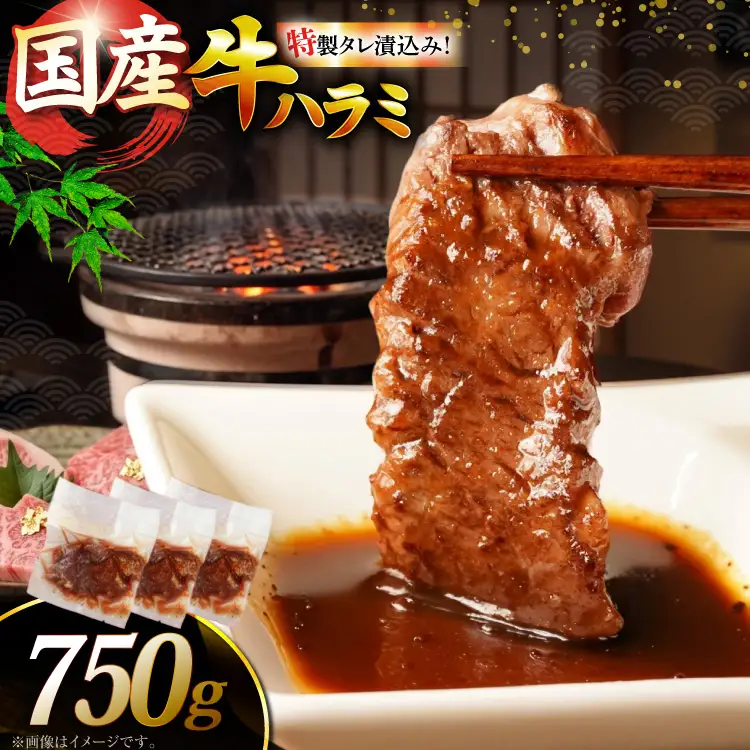 ハラミ 牛肉 焼肉 国産 特製 たれ漬 サガリ 750g ハラミ