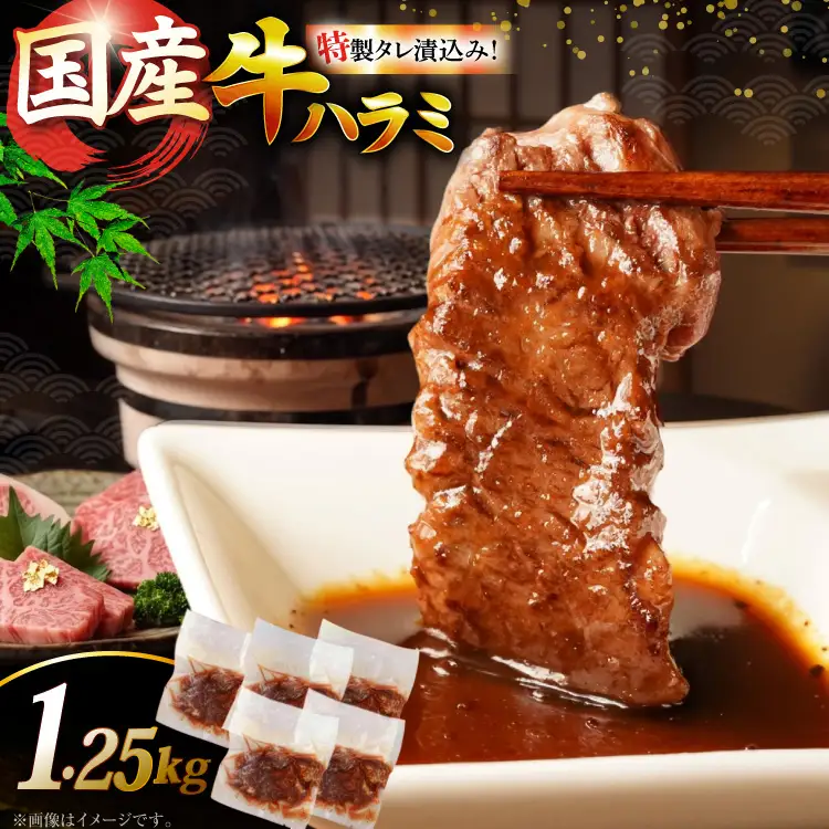 ハラミ 牛肉 焼肉 国産 特製 たれ漬 サガリ 1.25kg ハラミ
