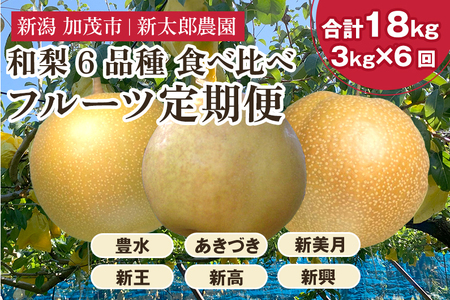 【2026年先行予約】旬の和梨 年6回定期便 和梨6品種食べ比べ （豊水・あきづき・新美月・新王・新高・新興） 各3kg 合計18kg《9月中旬から順次発送》 旬の和梨をお届け 頒布会 限定品 フルーツ定期便 加茂市 新太郎農園