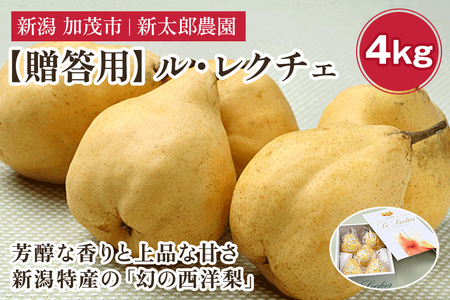 【2026年先行予約】【贈答用】幻の洋梨 ル・レクチェ4kg（9～14玉） 《12月上旬から順次発送》 化粧箱入り 果物 フルーツ ギフト 贈答 加茂市産ル・レクチェ 梨 西洋梨 加茂市 新太郎農園
