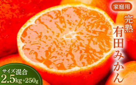 有田みかん 家庭用 完熟 2.5kg+250g（傷み補償分）サイズ混合 ｜ みかん