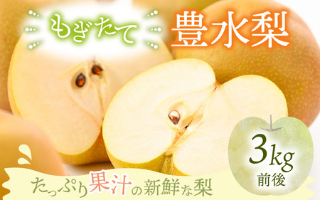 【先行予約】豊水梨 3kg前後 (5～8個) 甘くてジューシーな旬の梨【2026年8月下旬以降順次発送予定】 [A-15006]