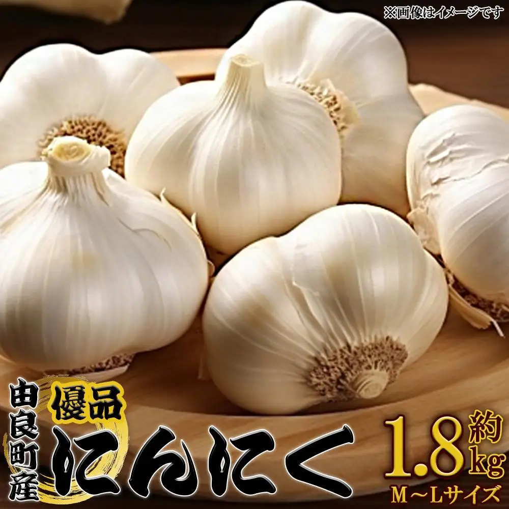 ［先行予約］由良町産にんにく 優品 約1.8kg(900g×2／M～Lサイズ)【SL18】