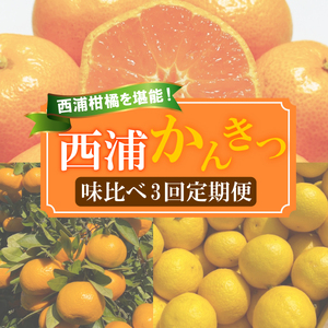 【 柑橘 定期便 】 訳あり 3回 定期便 由良 みかん 2.5kg 寿太郎 みかん 2.5kg 黄金柑 2.5kg 