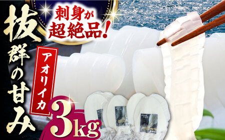 対馬産 アオリイカ 3kg烏賊 いか 刺身 冷凍  [WAA031]