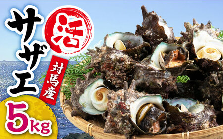 【先行日時予約】対馬産 活サザエ 5kgさざえ サザエ 刺し身 貝[WAA033]
