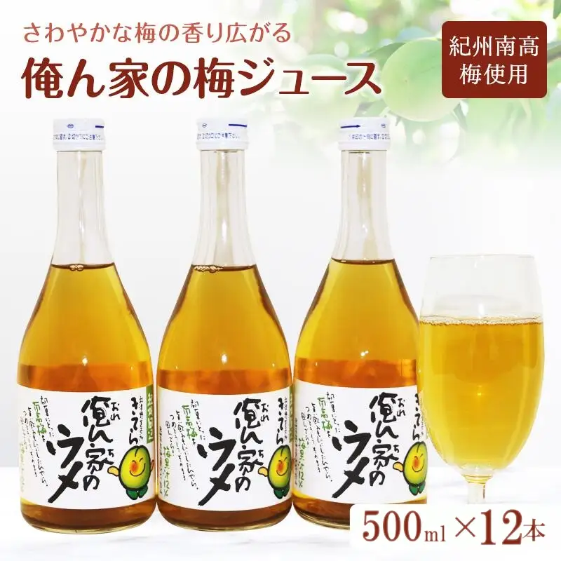 俺ん家の梅ジュース500ml×12本セット / 和歌山 和歌山県産 田辺市 紀州南高梅 南高梅 梅 梅ジュース なつかしい【ktr017-2】