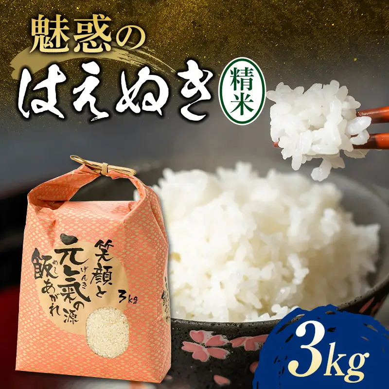 【令和8年産】魅惑のはえぬき3kg 米 お米 おこめ ふるさと納税 山形県 新庄市 F3S-2837
