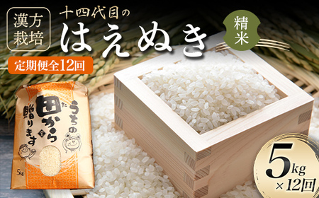 【定期便】 漢方栽培 十四代目のはえぬき 5kg（精米）全12回 米 お米 おこめ 山形県 新庄市 F3S-2070
