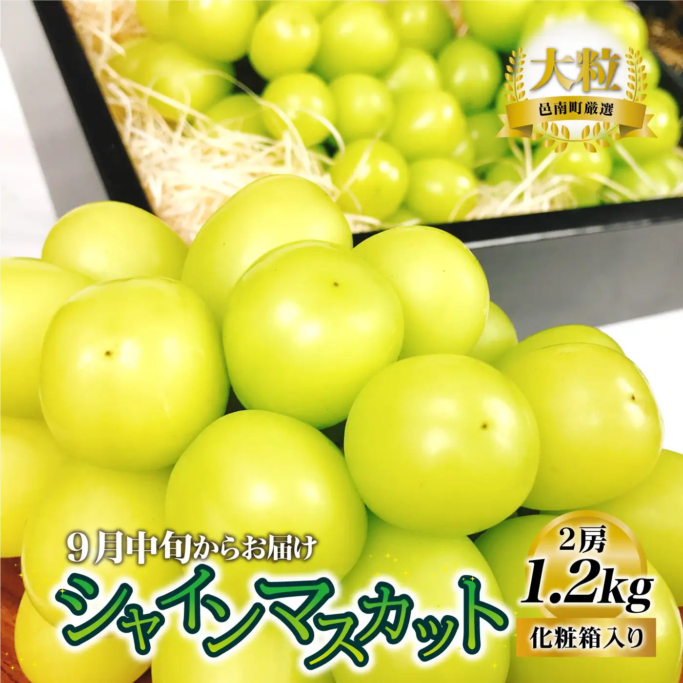 【先行予約】先行予約新鮮フルーツ シャインマスカット 1.2kg 果物 くだもの 化粧箱入り【9月中旬からお届け】