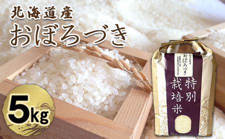 おぼろづき 産直 精米 北海道産 おぼろづき【5kg】