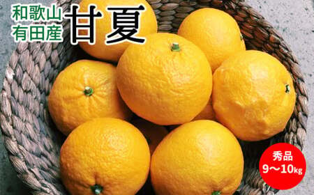 【2027年先行予約】甘夏 秀品 約9～10kg 和歌山県有田産_U6304