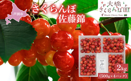 先行受付 さくらんぼ 佐藤錦 2kg 500g×4パック 大橋さくらんぼ園