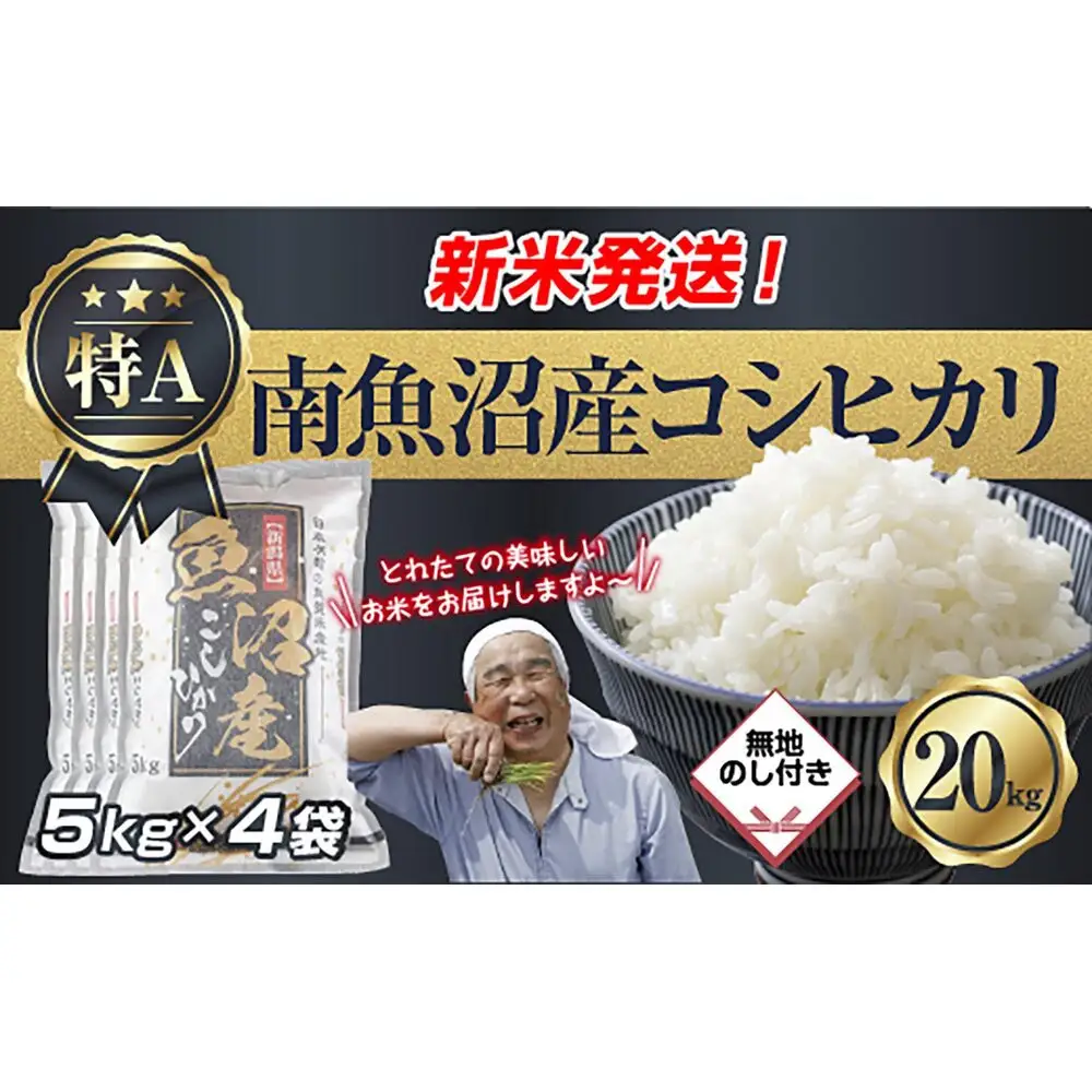 【令和8年産　新米予約】「無地のし」 新潟県 南魚沼産 コシヒカリ お米 5kg×4袋 計 20kg 精米済み（お米の美味しい炊き方ガイド付き） お米 こめ 白米 こしひかり 食品 人気 おすすめ  魚沼 南魚沼 南魚沼市 新潟県産 新潟県 精米 産直 産地直送【2026年10月中旬より1ヶ月以内に順次発送予定】