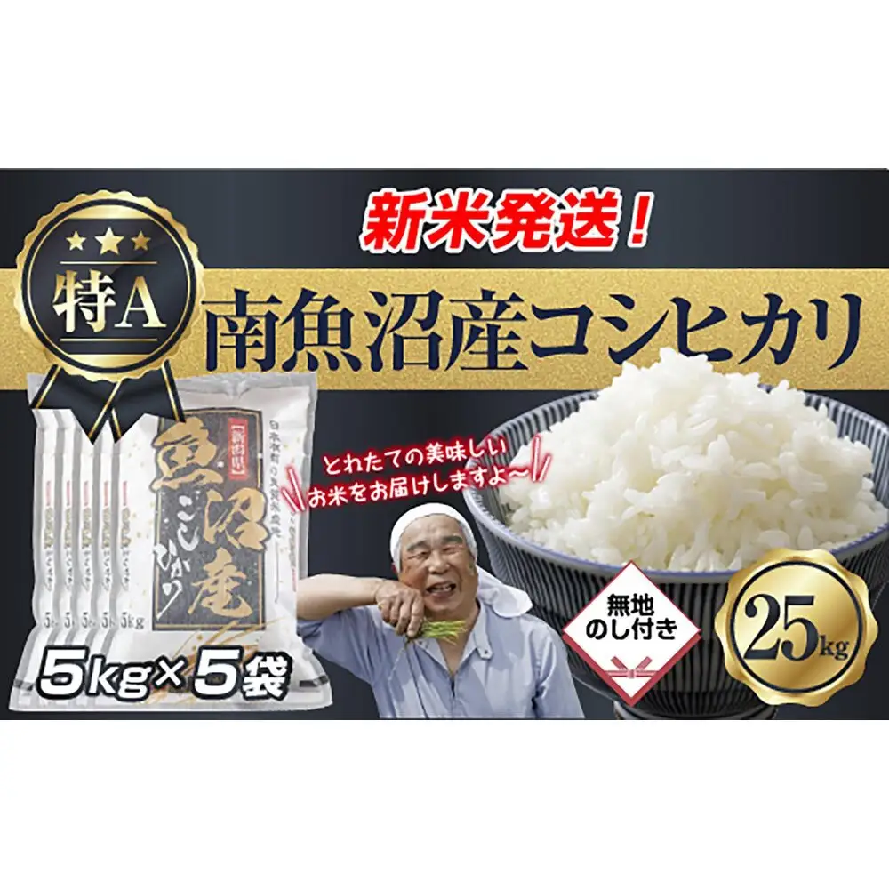 【令和8年産　新米予約】「無地のし」 新潟県 南魚沼産 コシヒカリ お米 5kg×5袋 計 25kg 精米済み（お米の美味しい炊き方ガイド付き） お米 こめ 白米 こしひかり 食品 人気 おすすめ  魚沼 南魚沼 南魚沼市 新潟県産 新潟県 精米 産直 産地直送【2026年10月中旬より1ヶ月以内に順次発送予定】