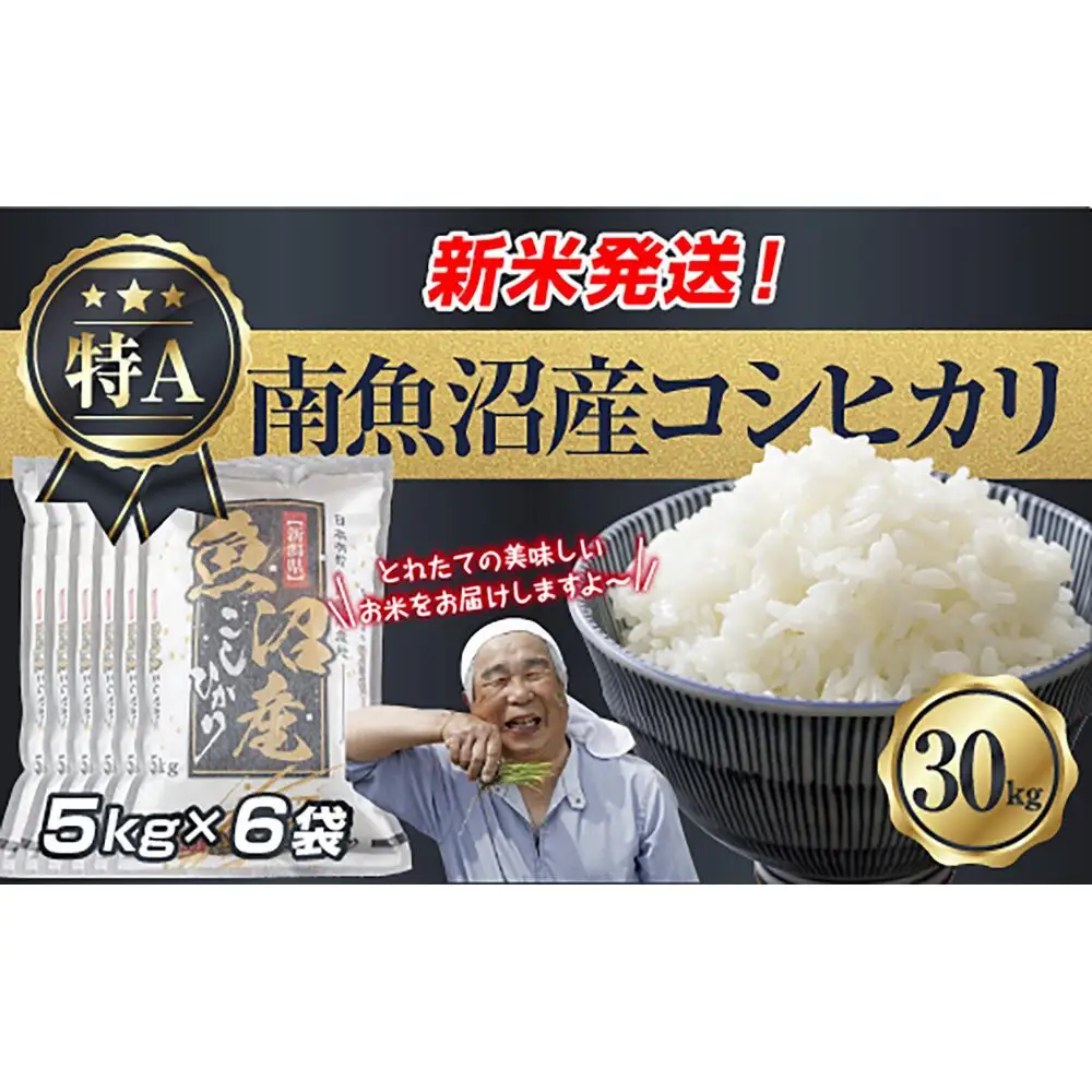 【令和8年産　新米予約】新潟県 南魚沼産 コシヒカリ お米 5kg×6袋 計 30kg 精米済み（お米の美味しい炊き方ガイド付き） お米 こめ 白米 こしひかり 食品 人気 おすすめ  魚沼 南魚沼 南魚沼市 新潟県産 新潟県 精米 産直 産地直送【2026年10月中旬より1ヶ月以内に順次発送予定】