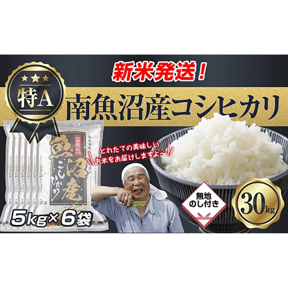 【令和8年産　新米予約】「無地のし」 新潟県 南魚沼産 コシヒカリ お米 5kg×6袋 計 30kg 精米済み（お米の美味しい炊き方ガイド付き） お米 こめ 白米 こしひかり 食品 人気 おすすめ 魚沼 南魚沼 南魚沼市 新潟県産 新潟県 精米 産直 産地直送【2026年10月中旬より1ヶ月以内に順次発送予定】