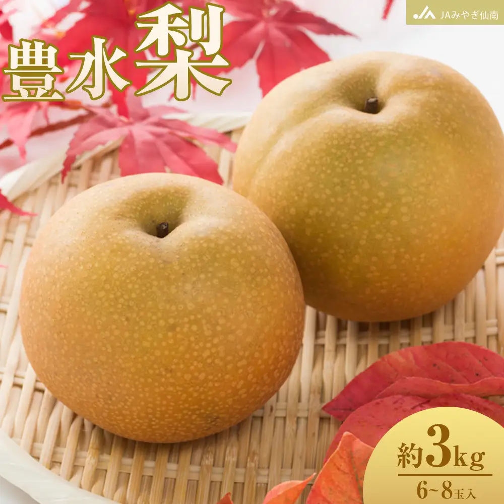 【JAみやぎ仙南】梨「豊水」約3kg (6～8玉入)｜梨 