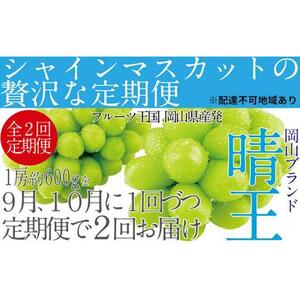 ぶどう 2026年 先行予約 9月・10月発送 シャイン マスカット 晴王 1房 約600g×2回 ブドウ 葡萄  岡山県産 国産 フルーツ 果物 ギフト