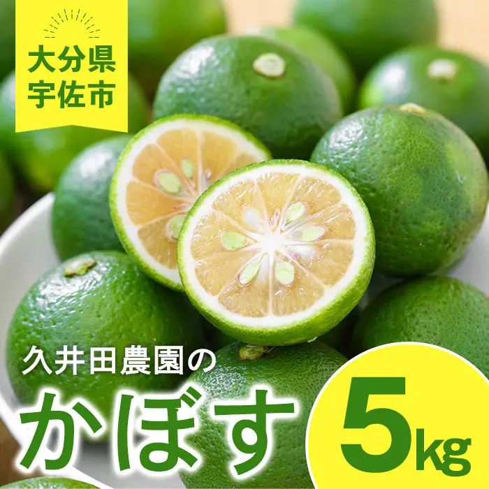 ＜先行予約受付中！2026年8月上旬以降順次発送予定＞かぼす(5kg)柑橘 かんきつ 大分県産直【112600100】【ａｎｄＫ】