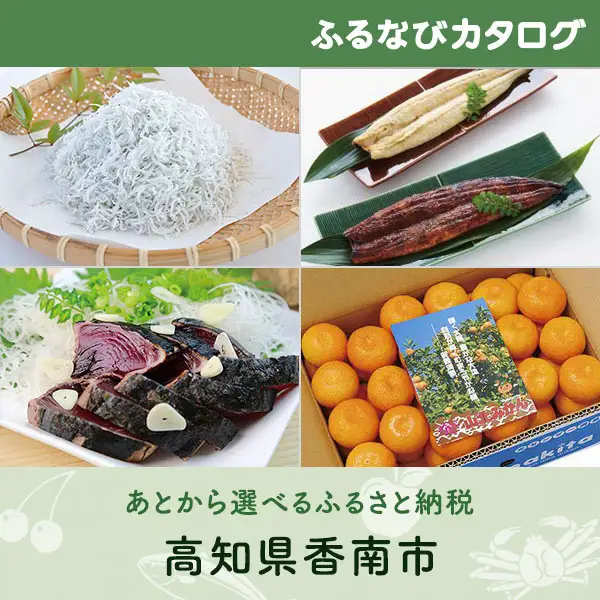 【有効期限なし！後からゆっくり特産品を選べる】高知県香南市カタログポイント