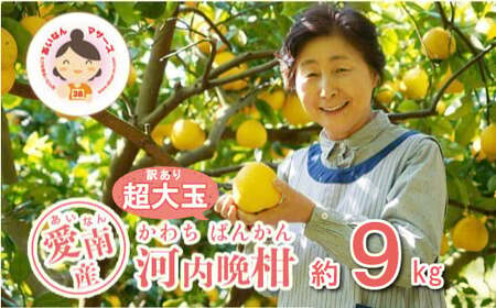 訳あり 河内晩柑 超大玉 9kg あいなんマザーズ