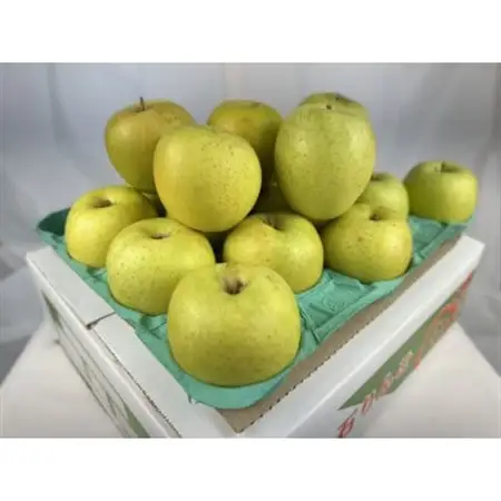 糖度保証!　訳あり品　王林　5kg(14個～23個)【令和8年11月より順次発送】_果物・フルーツ りんご  リンゴ 林檎_【配送不可地域：離島】【1491942】