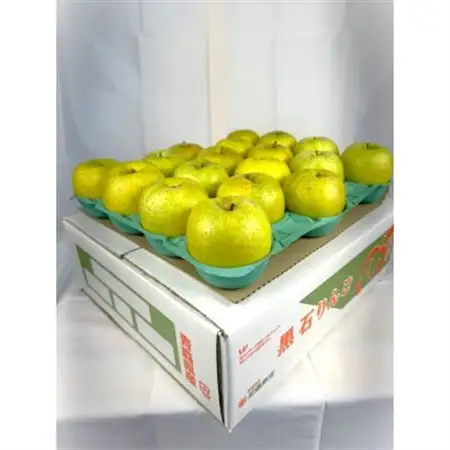 糖度保証!!　訳あり品　王林10kg(26個～46個)【令和8年11月より順次発送】_果物・フルーツ りんご  リンゴ 林檎_【配送不可地域：離島・沖縄県】【1491943】