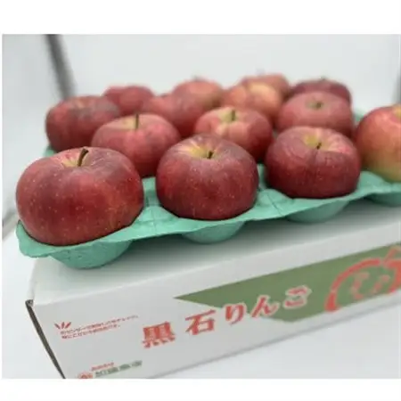 希少品種　大紅栄　訳あり品　5kg(10～16個入)_果物・フルーツ りんご  リンゴ 林檎_【配送不可地域：離島】【1493957】