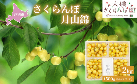 先行受付 さくらんぼ 月山錦 2kg 500g×4パック 農林水産大臣賞