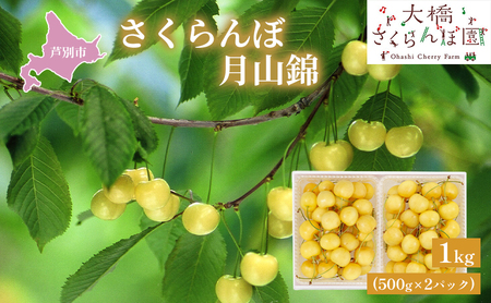 先行受付 さくらんぼ 月山錦 1kg 500g×2パック 農林水産大臣賞
