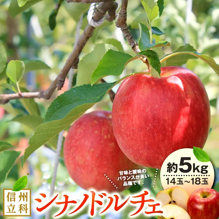 シナノドルチェ（約5kg、優14～18玉）