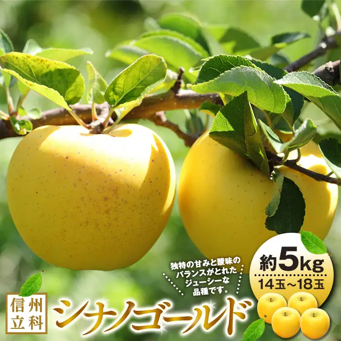 シナノゴールド（約5kg、優14～18玉）