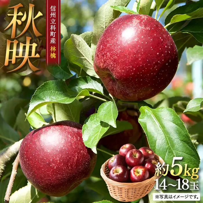 秋映（約5kg、優14～18玉）