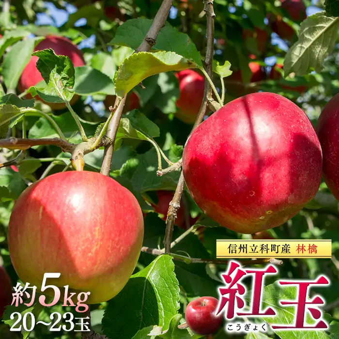 紅玉（約5kg、優20～23玉）